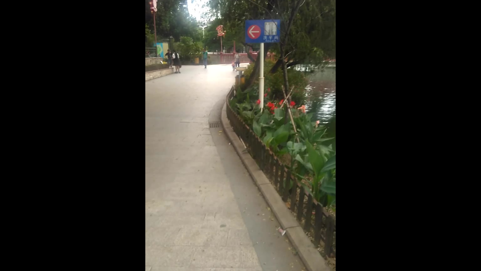 实拍游览中山公园一景